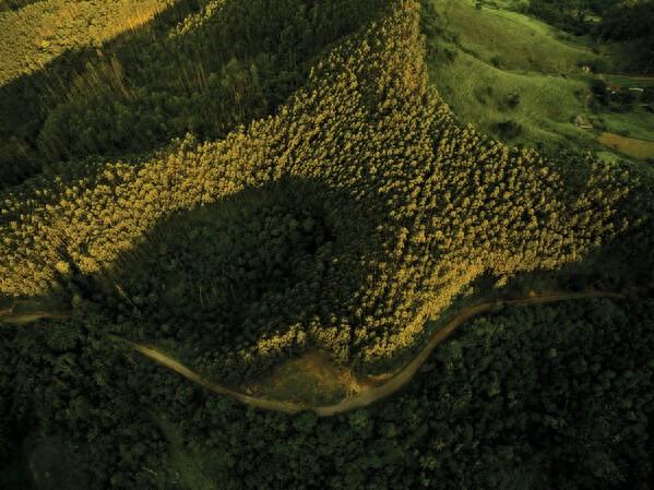 比较出名的配资平台 书赞桉诺2025Q1业绩报告: 净收入增长22%